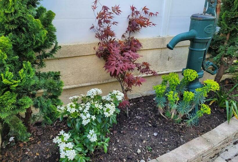 Maison De Pêcheur Charmante Et Atypique En Pierre, 1 Min De Marche De La Mer