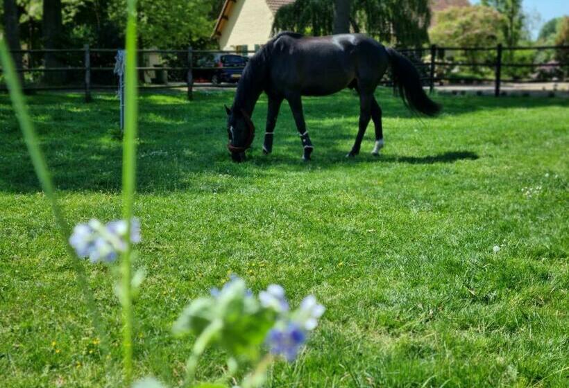Vakantiewoning Schouwenberg
