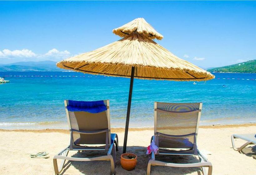 Villa Esteban özel Plajlı