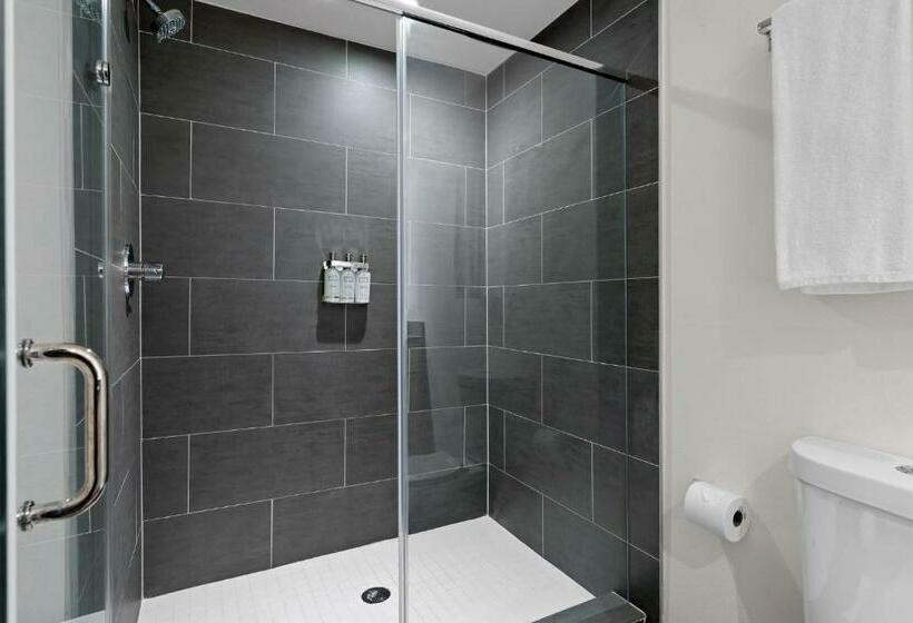 Abode Houston Norfolk