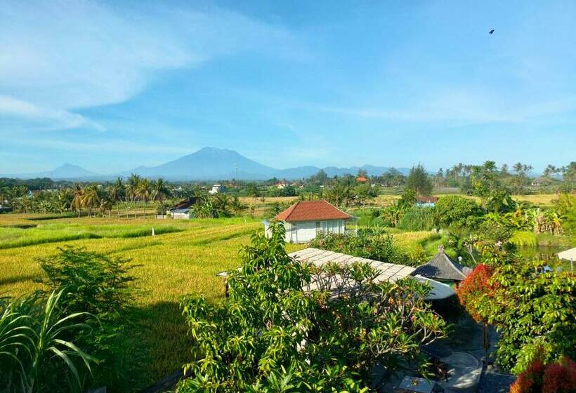 הוסטל The Masceti