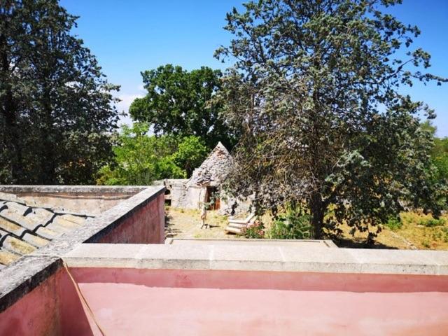 Antique Villa, Casa Rosa   3 Bed, 2 Bath With Pool