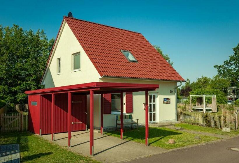 Haus Pangea   B47690