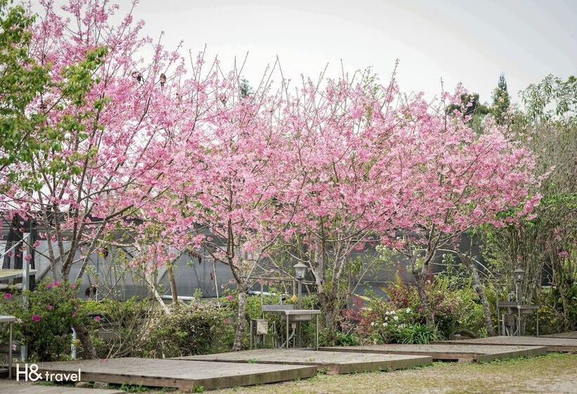 هتل H& Alishan Sunrise B&b