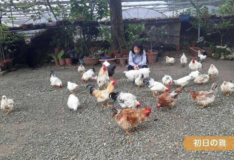 هتل H& Alishan Sunrise B&b