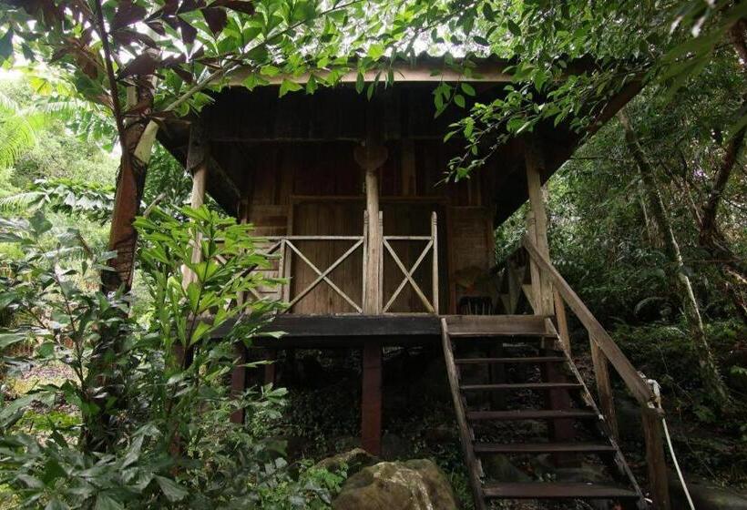 酒店 Mad Monkey Koh Rong Samloem