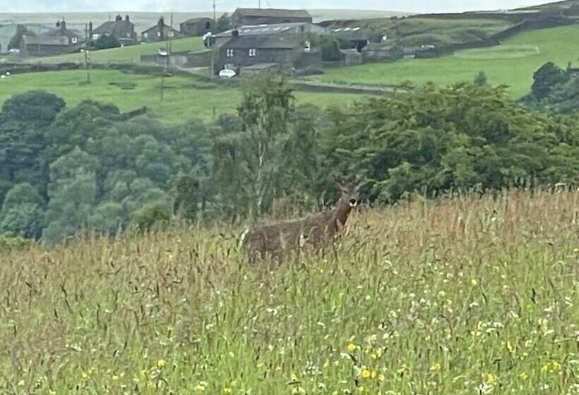 Inviting 4 Berth Caravan In Hebden Bridge