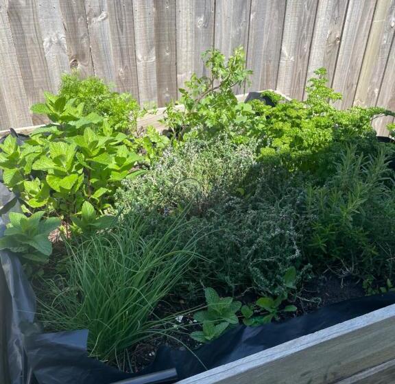 Jetty Road Beach House