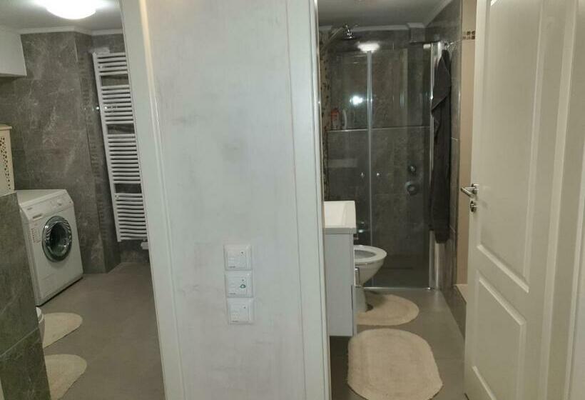 Sehr Grosse 5 Zimmer Wohnung Mit Garten Und Terasse