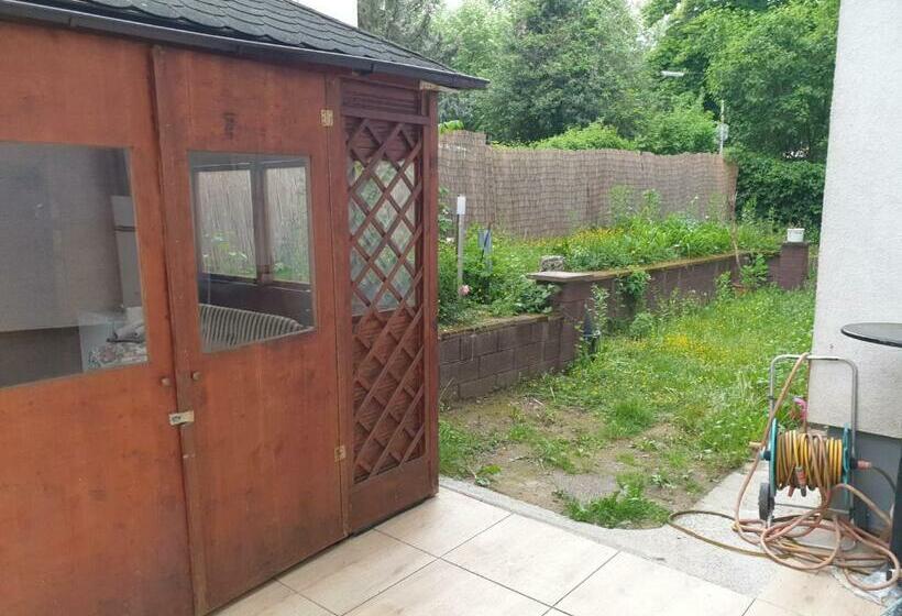 Sehr Grosse 5 Zimmer Wohnung Mit Garten Und Terasse