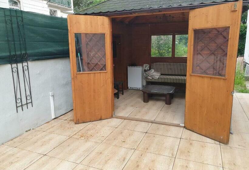 Sehr Grosse 5 Zimmer Wohnung Mit Garten Und Terasse