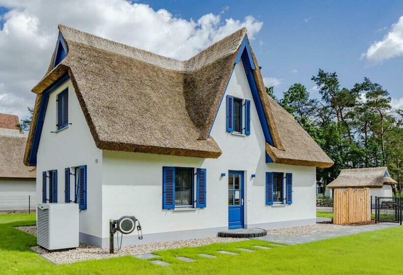 Störtebeker Zirchow