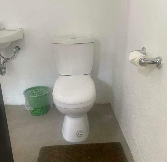 Tall Trees New Cabins