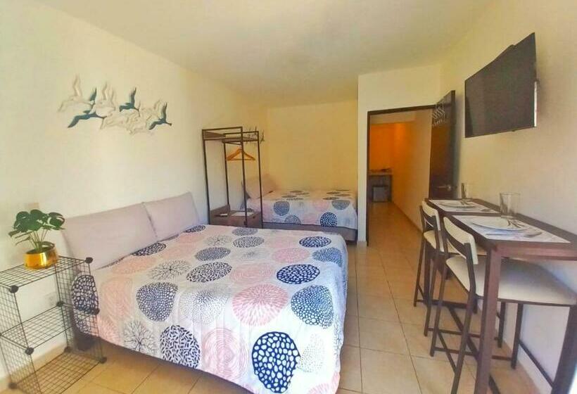 Estudio A Unos Pasos Del Malecón