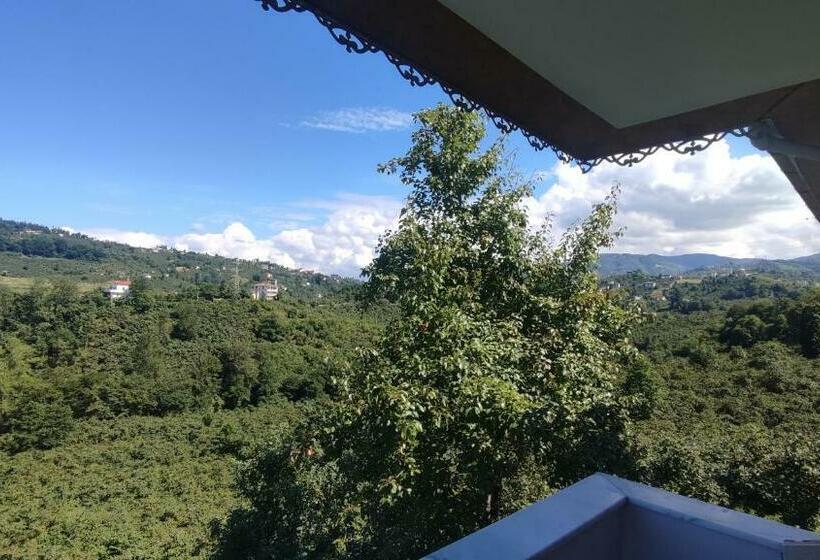 Arsinhouse Family Suit