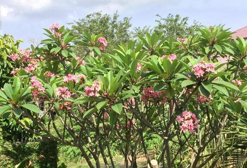 Banda Aceh Batoh Homestay Private Fits Up To 8 Persons