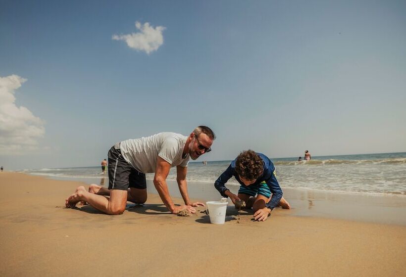 Embassy Suites By Hilton Virginia Beach Oceanfront Resort