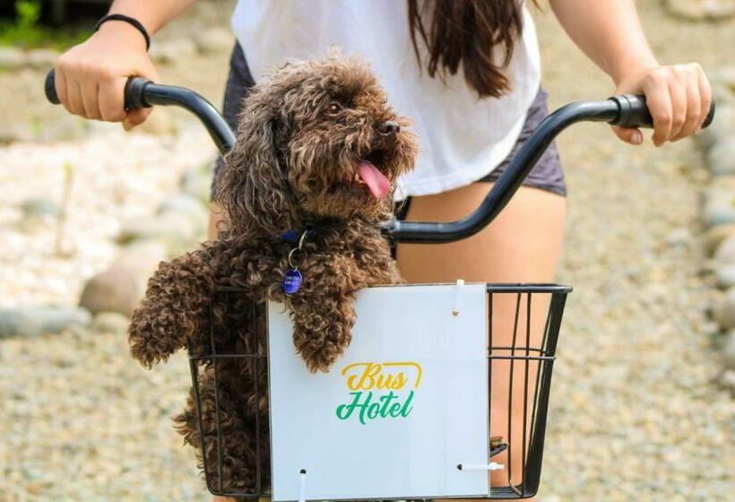 Bushotel Puerto Viejo With Private Hot Tube Very Close To Town