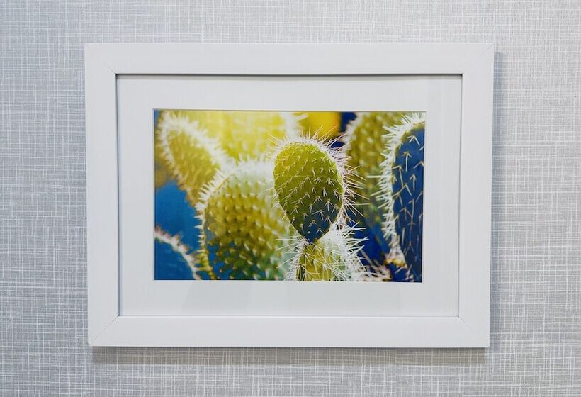 בית מלון כפרי Hampton Inn & Suites Weatherford