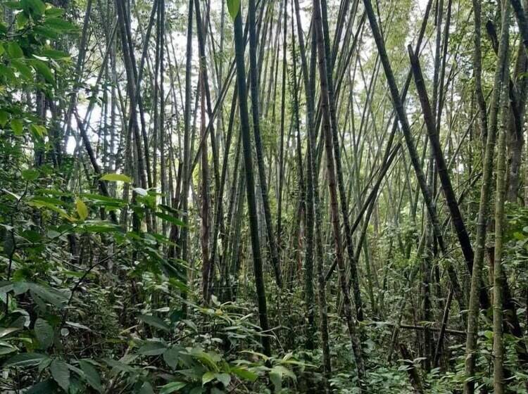 فندق San Jorge Centro De Convenciones