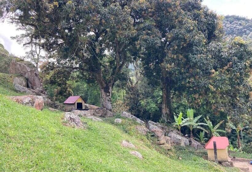 فندق San Jorge Centro De Convenciones