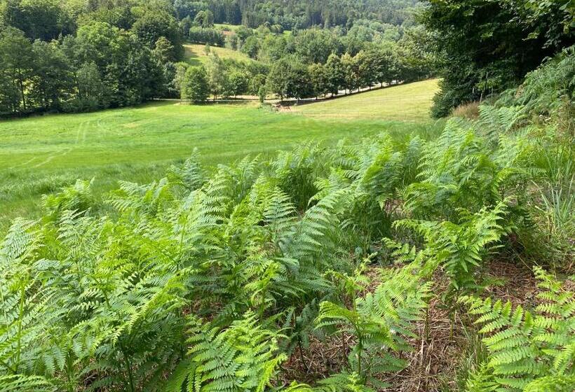 Hüttenflair Im Gut Sonnenwald