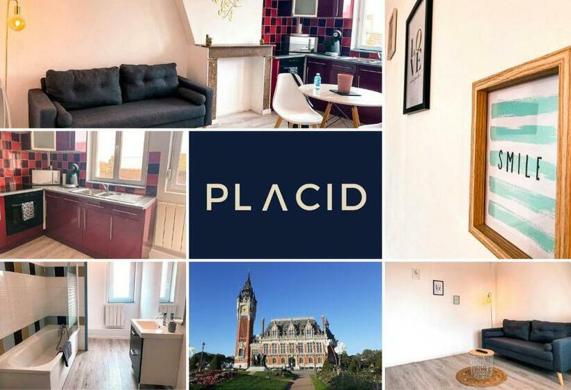 Les Feuilles D Or   Appartement Confort   Centre Ville