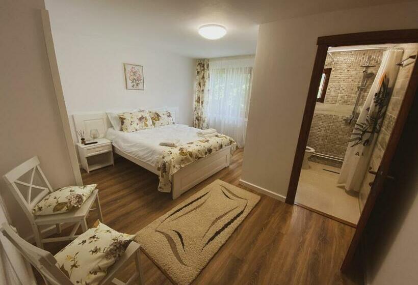 펜션 Casa Cu Vitralii