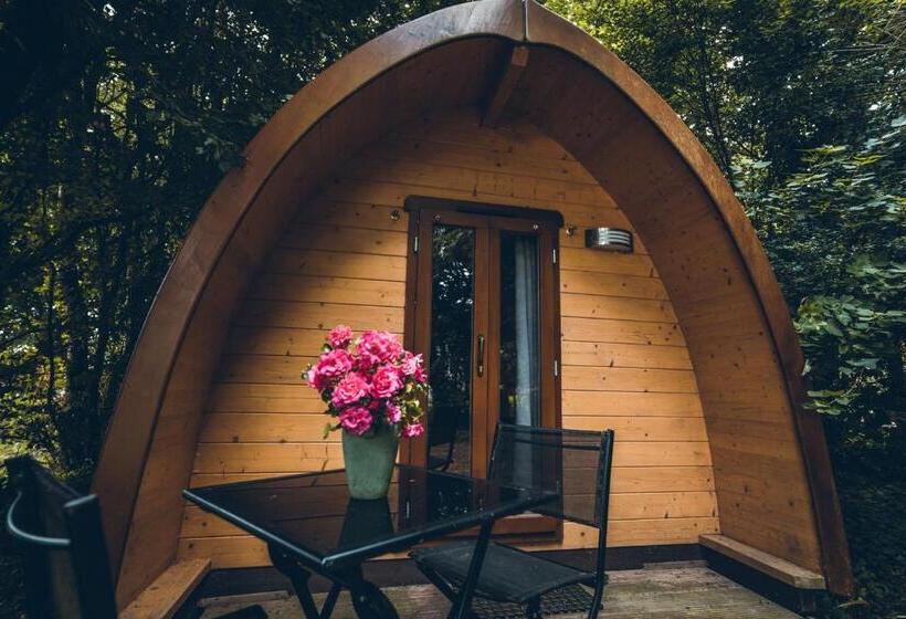 펜션 Domaine De La Ville Suzanne   Chambres D Hôtes, Roulottes Et Cabanes