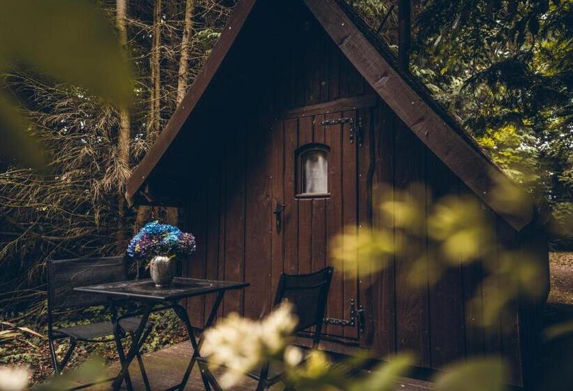 펜션 Domaine De La Ville Suzanne   Chambres D Hôtes, Roulottes Et Cabanes