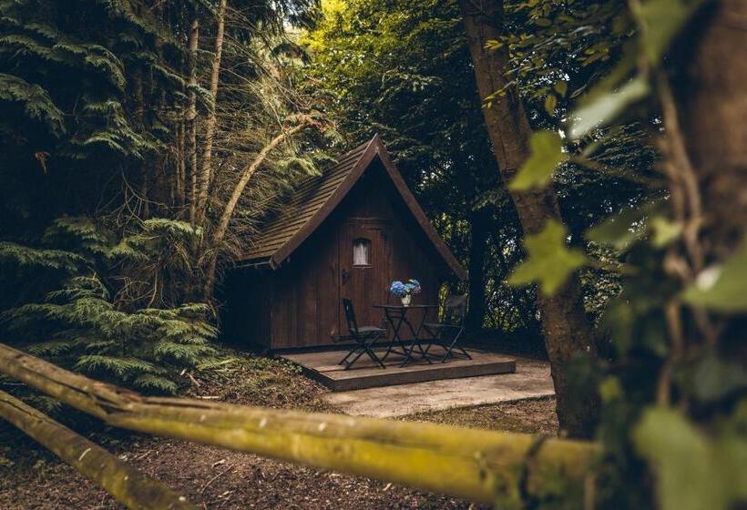 펜션 Domaine De La Ville Suzanne   Chambres D Hôtes, Roulottes Et Cabanes