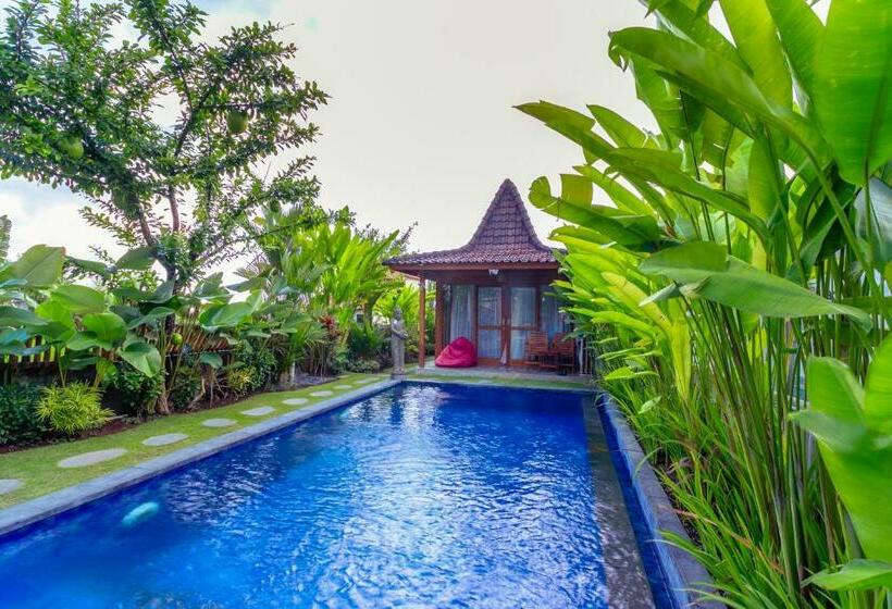 פנסיון Kubu D Carik Villa & Bungalow By Ecommerceloka