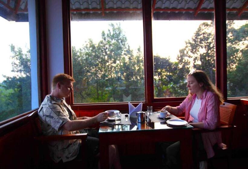 리조트 Tea Village Munnar