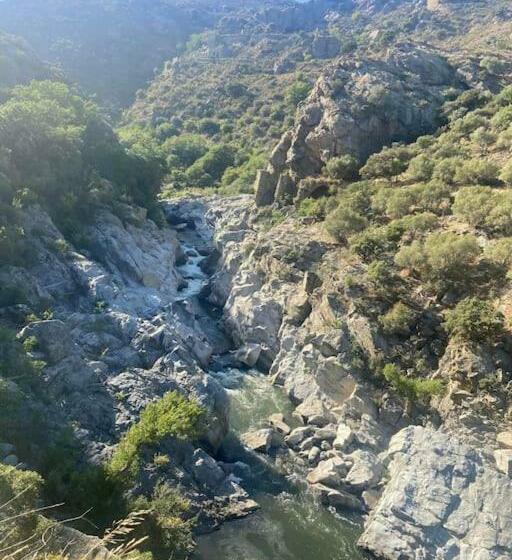 Studio Tout Confort Avec Terrasse. Piscine En Supplément