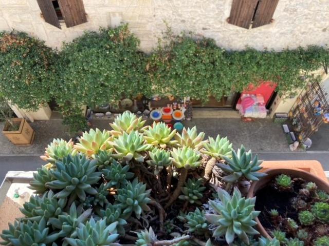 Superbe Appartement De Caractère Au Calme