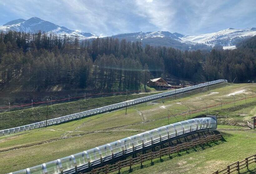 Appartement Duplex Les Orres 1800 Pour 8 Personnes Aux Pieds Des Pistes Avec Ménage Et Une Place De