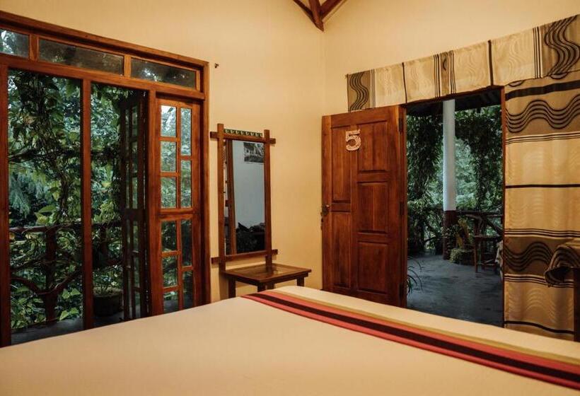 Bed and Breakfast Aloe Vera Guest House