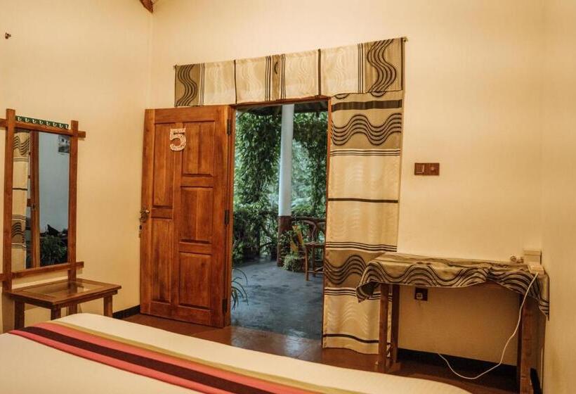 Bed and Breakfast Aloe Vera Guest House