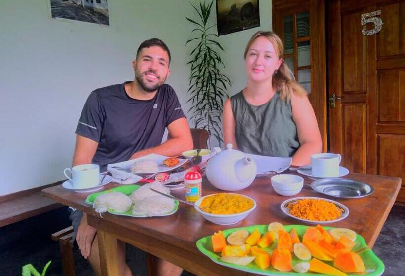 Bed and Breakfast Aloe Vera Guest House