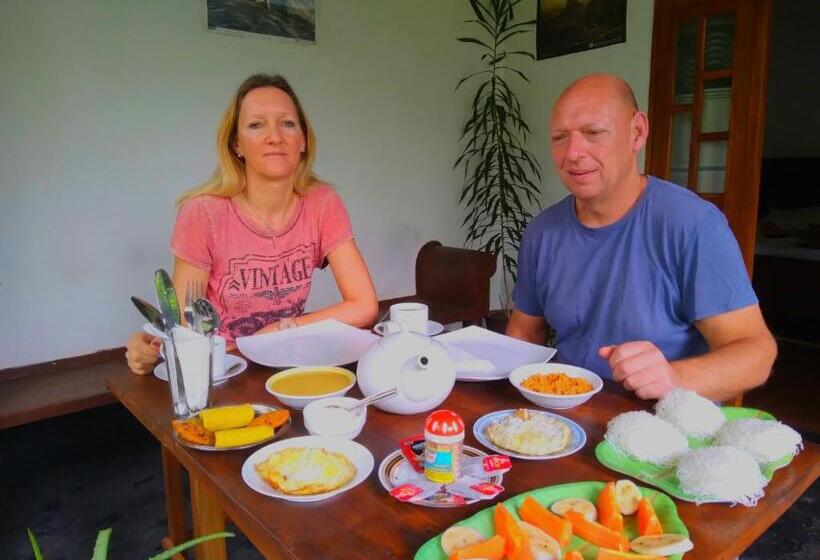 Bed and Breakfast Aloe Vera Guest House