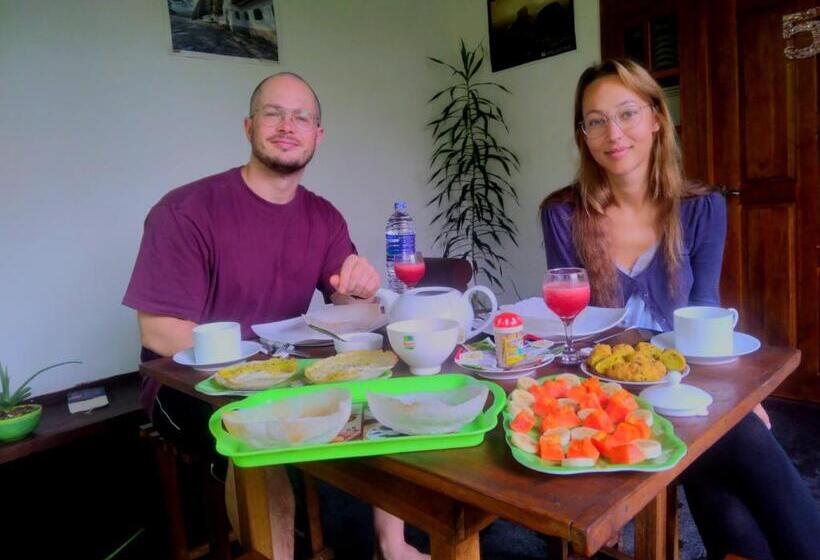 Bed and Breakfast Aloe Vera Guest House