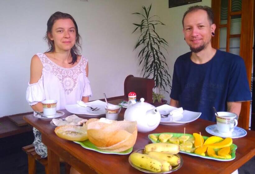 Bed and Breakfast Aloe Vera Guest House