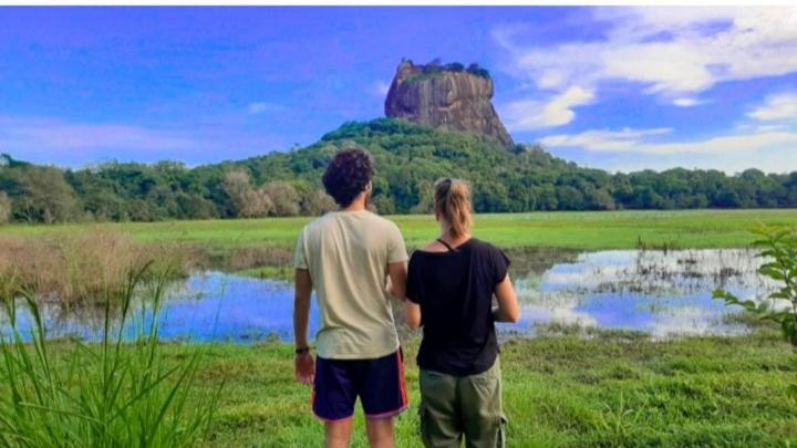 Bed and Breakfast Aloe Vera Guest House