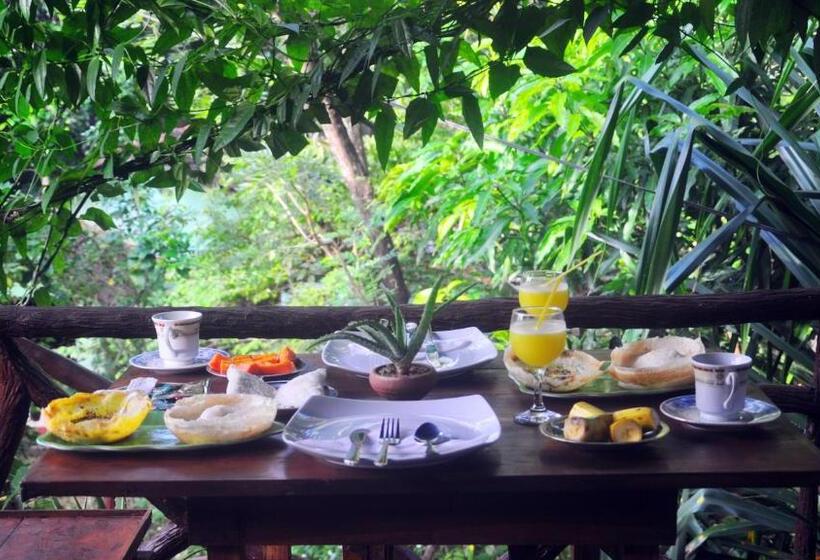 Bed and Breakfast Aloe Vera Guest House