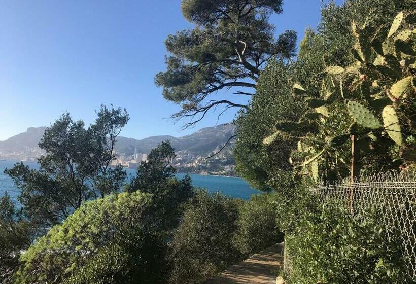 Cap D.azur