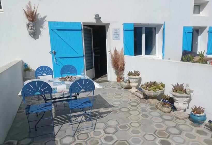 Rose Cottage, Vendée Globe , Parc Privé