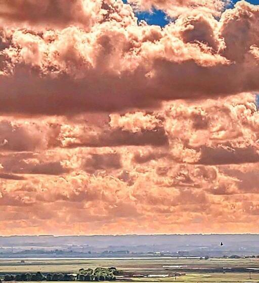 ベッドアンドブレックファースト Banks Bed & Continental Breakfast