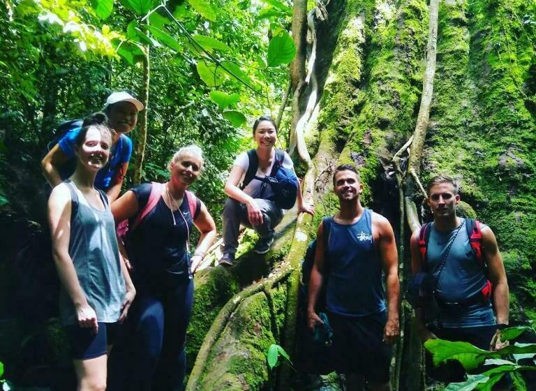 Bukit Lawang Guesthouse