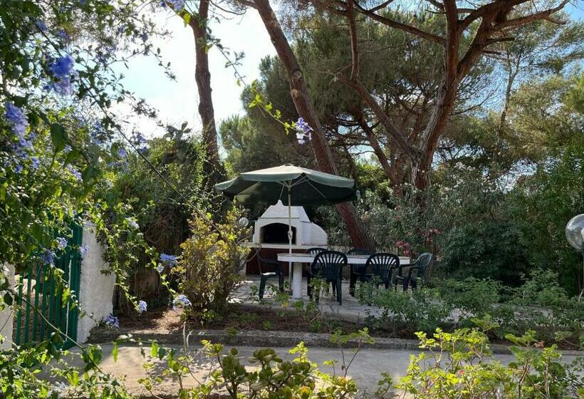 Casa Carla Casa In Pineta A 100 Mt Dalla Spiaggia