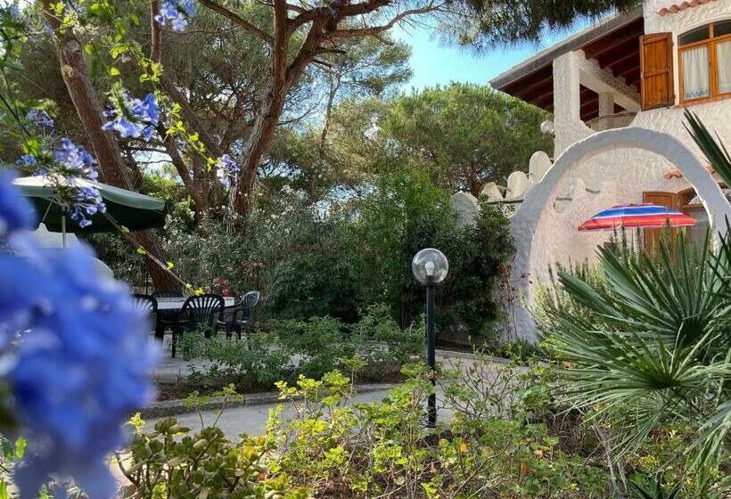 Casa Carla Casa In Pineta A 100 Mt Dalla Spiaggia